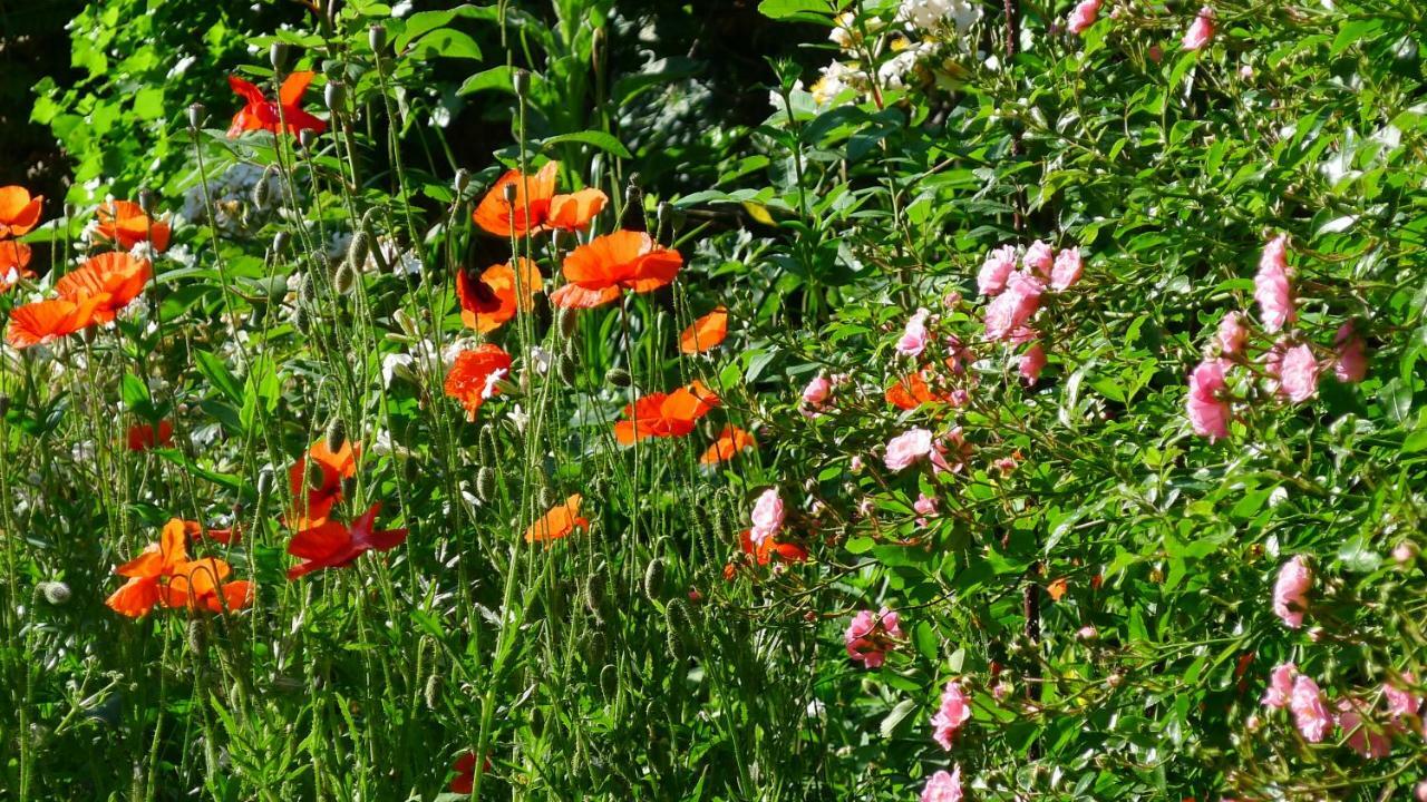 Le Petit Potager Panzió Montbel  Kültér fotó